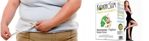 Berry diet powder : kompozisyon sadece doğal maddeler.